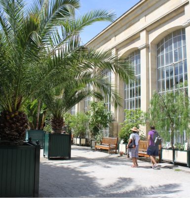 Jardin Des Plantes And Botanical Gardens