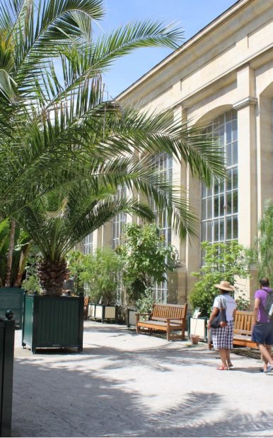 Jardin Des Plantes And Botanical Gardens