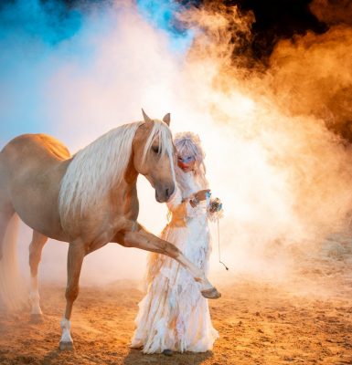 La Pommeraye Equestrian Theatre