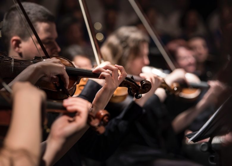 larisa-birta-slbOcNlWNHA-unsplash