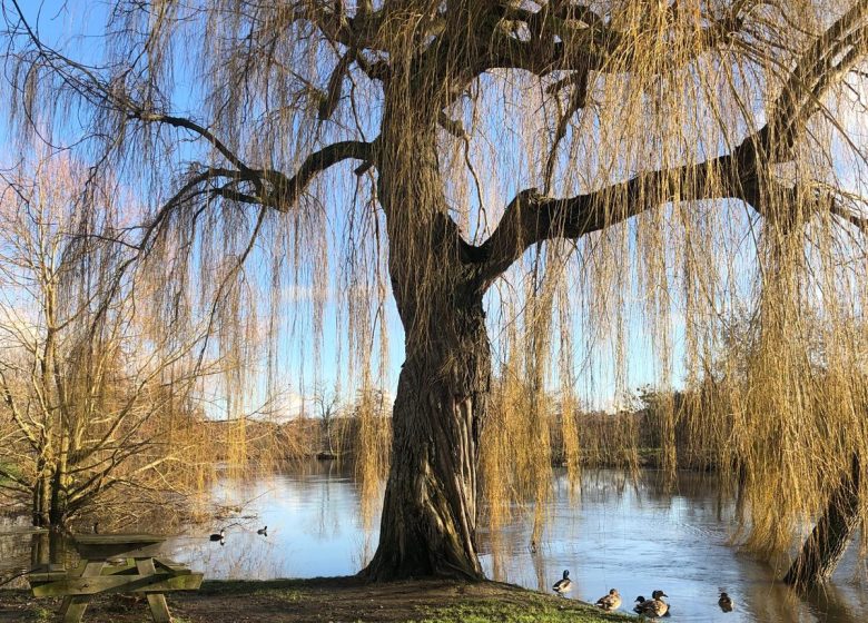 les-havres-de-nacre-louvigny-voie-verte-2