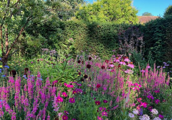 nouveau jardin en chambre le jardin pourpre