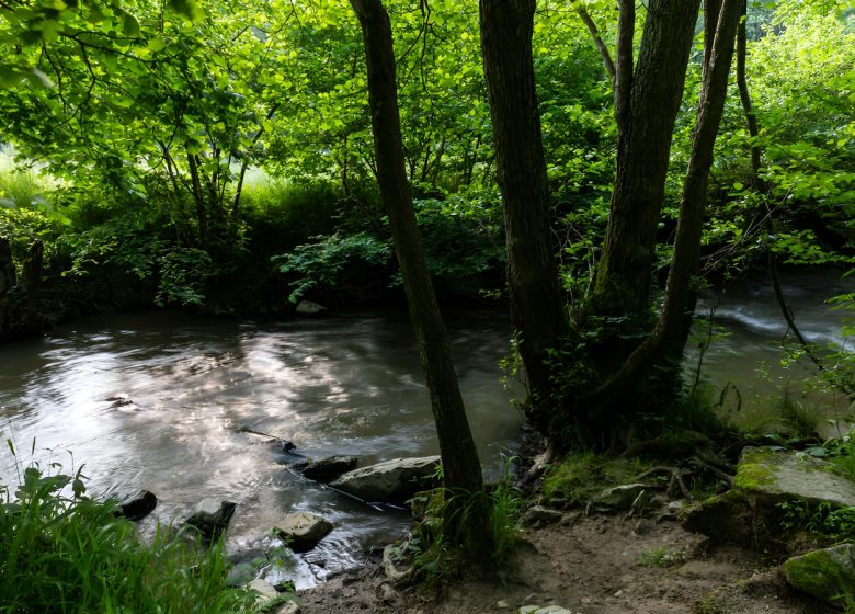 L’Odon traversant le bois des Amis de Jean Bosco. / © Thierry Houyel