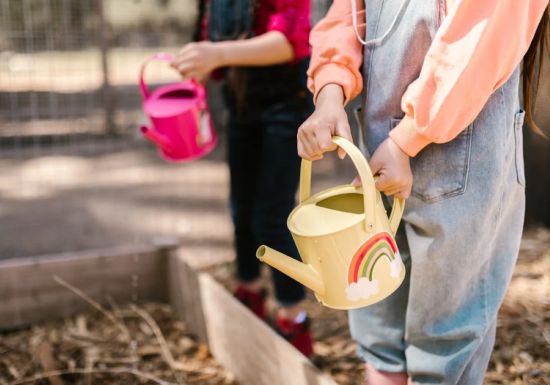 pexels-photo-7782200