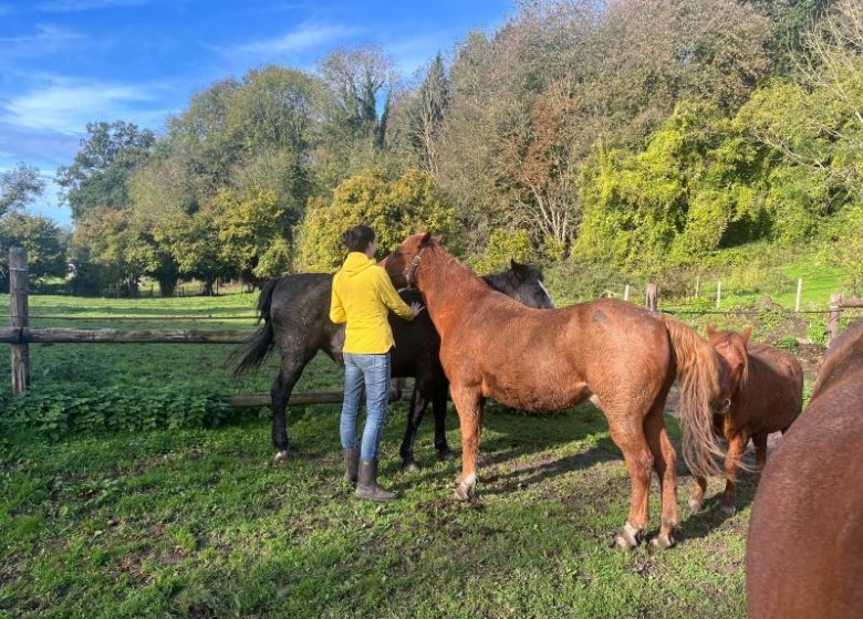 Prendre soin de soi pause calme douceur 