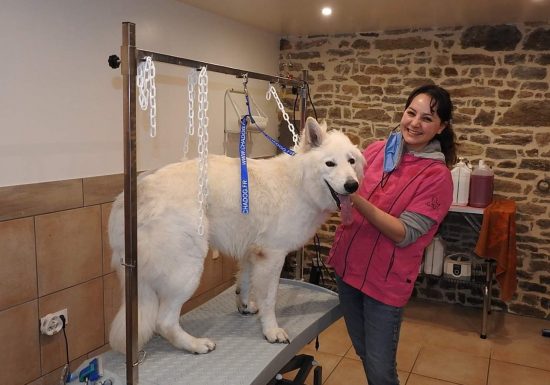 received_711817069480486