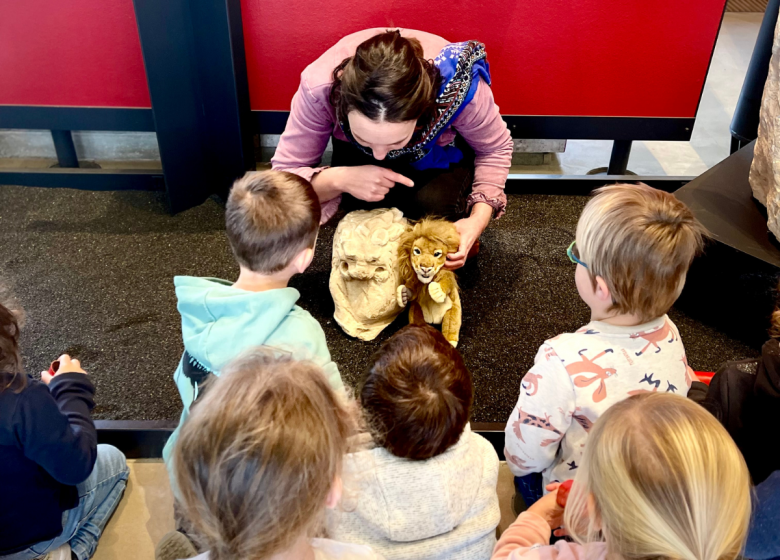 safari tourinsoft – 1