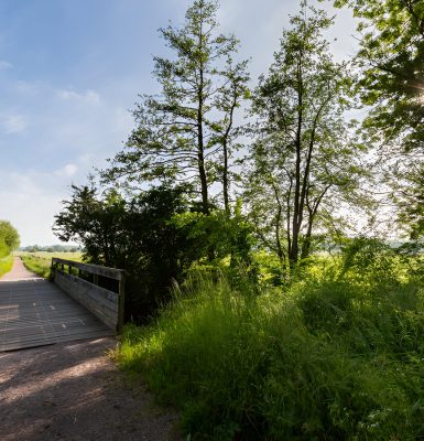Marais De L’Orne Et De La Noë