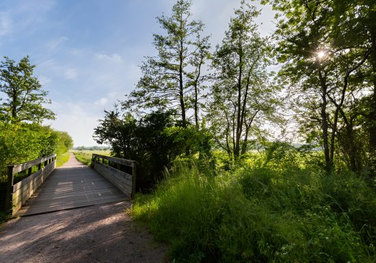 Sentier pédestre dans le marais de l’Orne et de la Noë. / © Thierry Houyel
