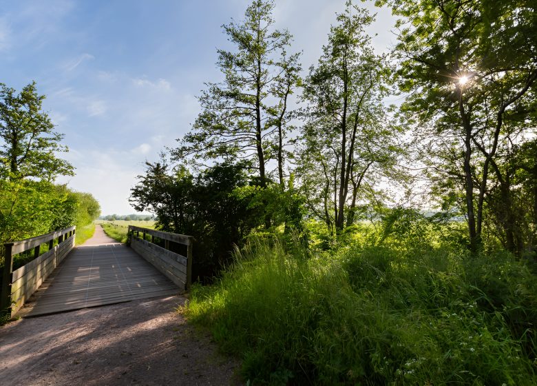 Sentier pédestre dans le marais de l’Orne et de la Noë. / © Thierry Houyel