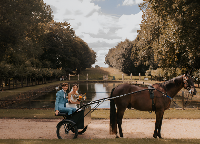 sulky-passion-mariage-1