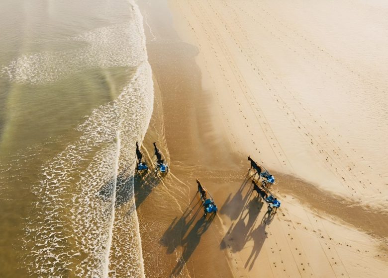 sulky-passion-photo-drone-1