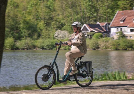 vanraam balance e-bike with low step through