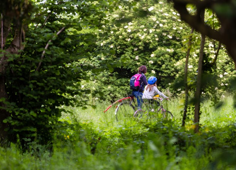 Promenade à vélo au marais de l’Orne et de la Noë. / © Thierry Houyel